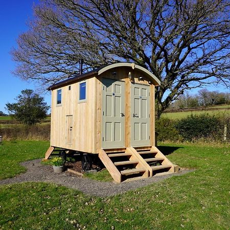 Вилла Little Ash Glamping - Luxury Shepherd'S Huts Ньютон Эбэт Экстерьер фото