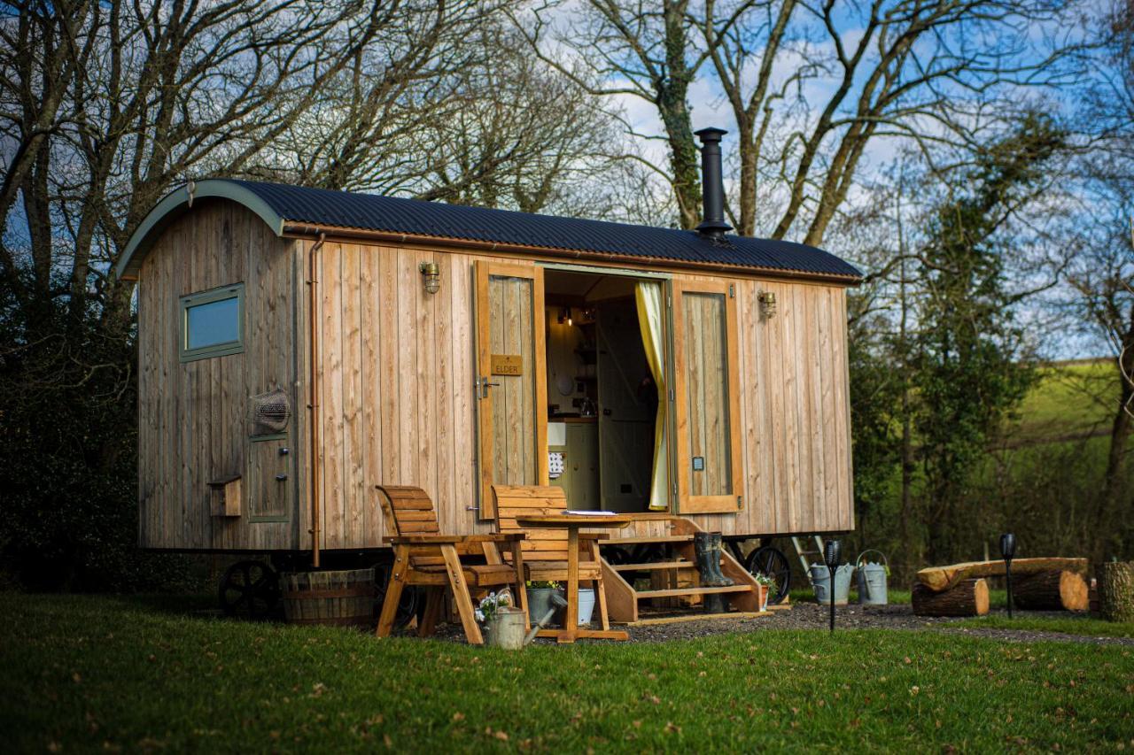 Вилла Little Ash Glamping - Luxury Shepherd'S Huts Ньютон Эбэт Экстерьер фото