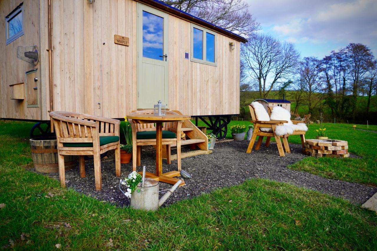 Вилла Little Ash Glamping - Luxury Shepherd'S Huts Ньютон Эбэт Экстерьер фото