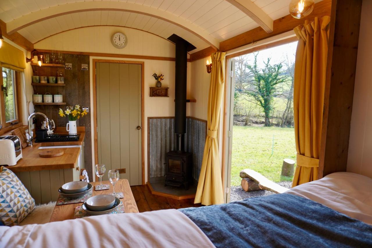 Вилла Little Ash Glamping - Luxury Shepherd'S Huts Ньютон Эбэт Экстерьер фото