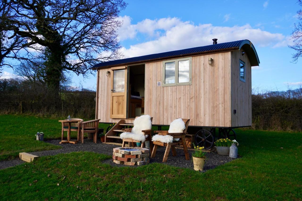 Вилла Little Ash Glamping - Luxury Shepherd'S Huts Ньютон Эбэт Экстерьер фото