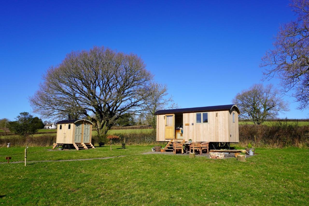 Вилла Little Ash Glamping - Luxury Shepherd'S Huts Ньютон Эбэт Экстерьер фото