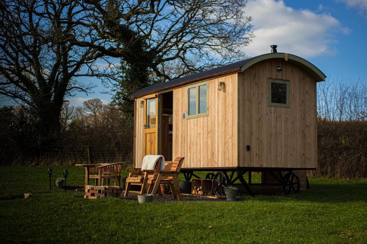 Вилла Little Ash Glamping - Luxury Shepherd'S Huts Ньютон Эбэт Экстерьер фото