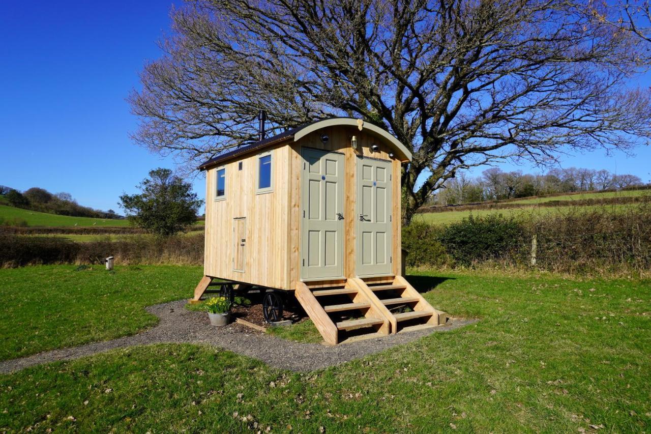 Вилла Little Ash Glamping - Luxury Shepherd'S Huts Ньютон Эбэт Экстерьер фото